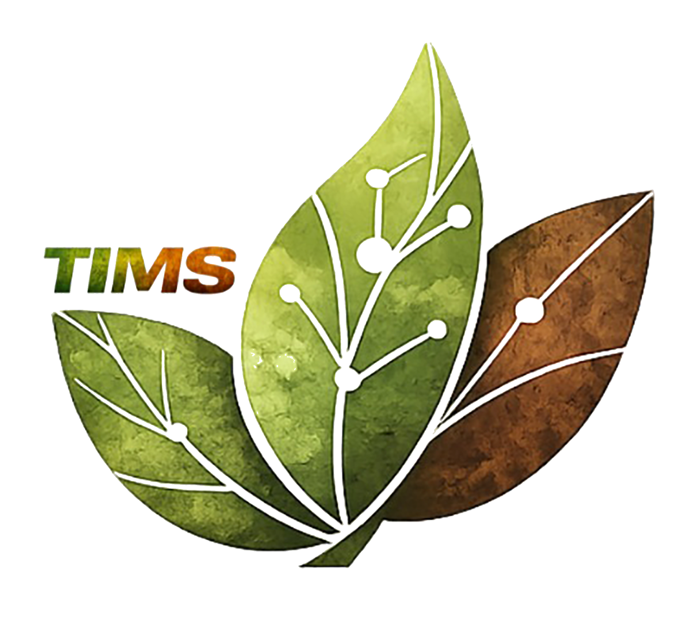 TIMS Logo